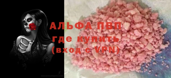 прущие грибы Аркадак