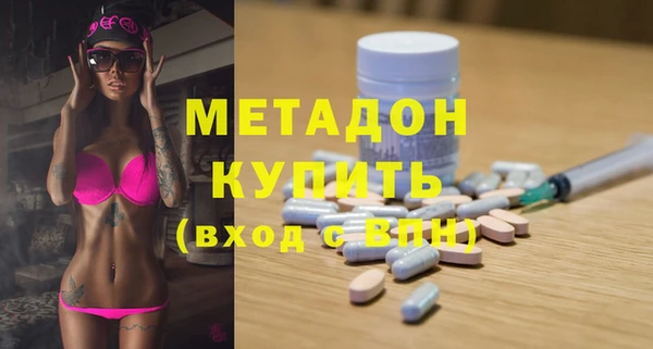 прущие грибы Аркадак