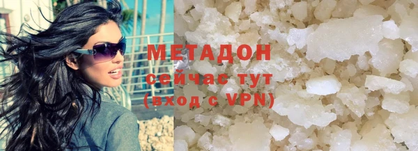 прущие грибы Аркадак