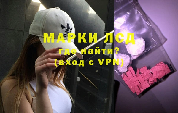 прущие грибы Аркадак