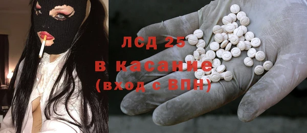 прущие грибы Аркадак