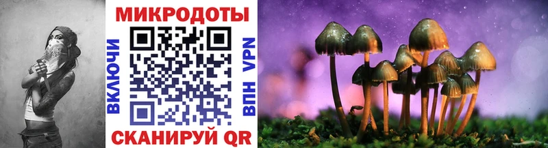 Псилоцибиновые грибы Psilocybine cubensis Баймак